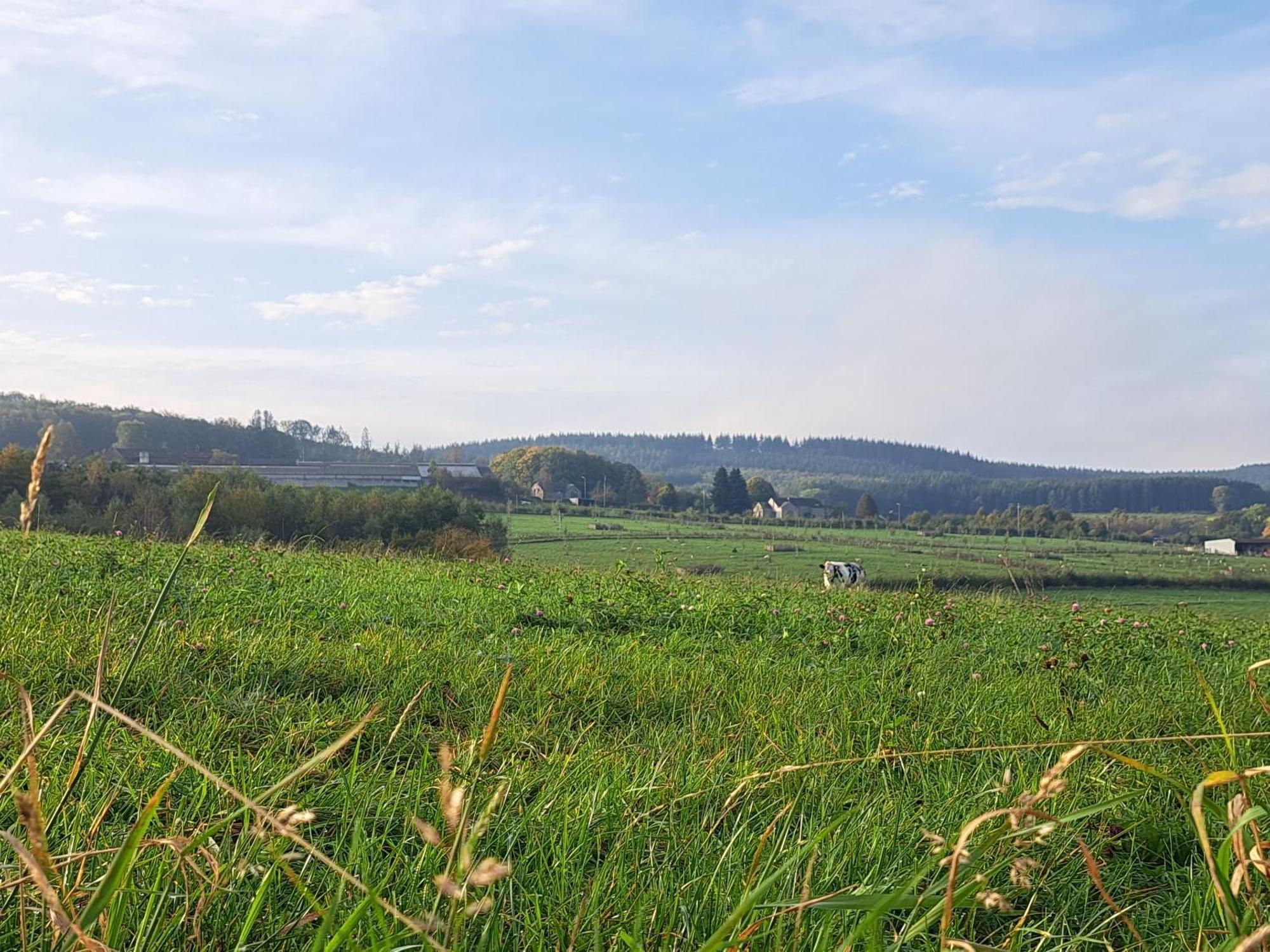 Gite Al Fontaine La-Roche-en-Ardenne Εξωτερικό φωτογραφία