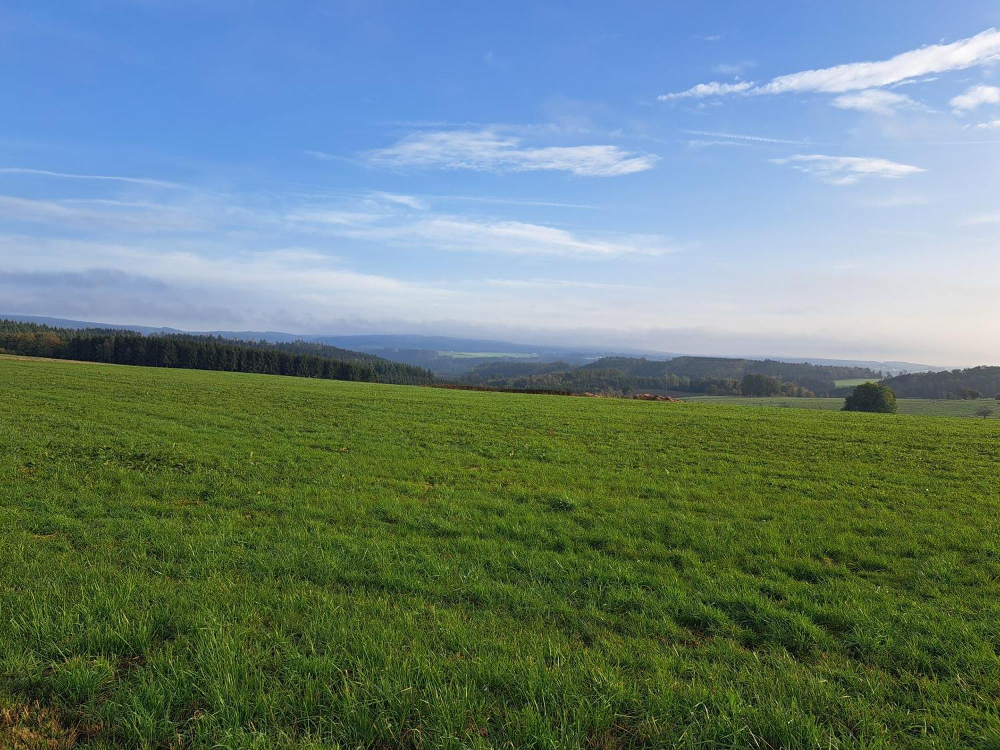 Gite Al Fontaine La-Roche-en-Ardenne Εξωτερικό φωτογραφία